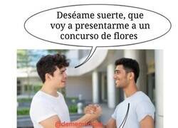 Enlace a Concurso de flores