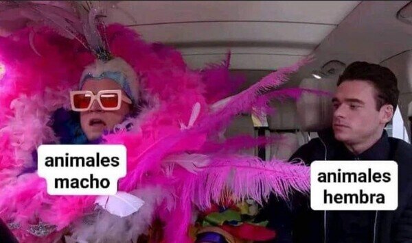 Meme_otros - Cosas que pasan en la naturaleza