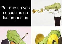 Enlace a Tiene sentido