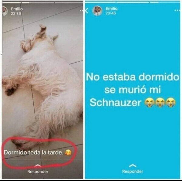 Meme_otros - Una triste historia