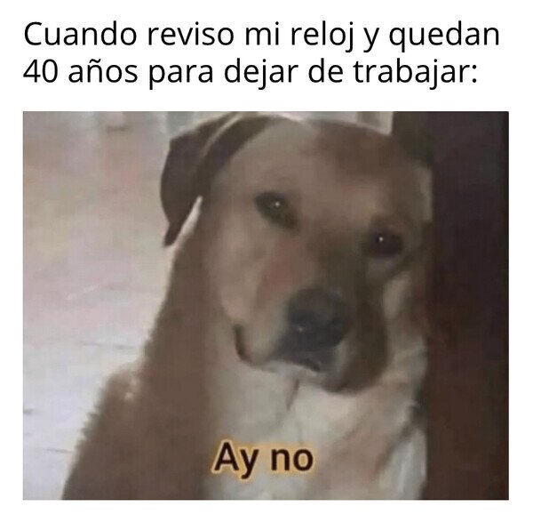 Otros - La larga travesía laboral