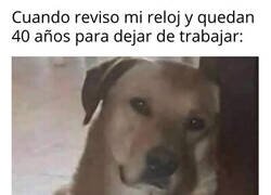 Enlace a La larga travesía laboral