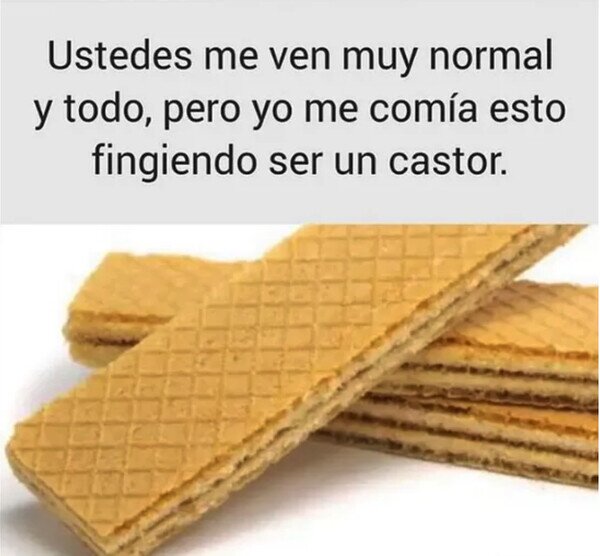 barquillos,comer,snack,castor,dientes
