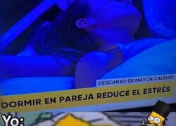 Enlace a Ahora entiendo mi estresante vida