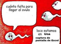 Enlace a A lo que ha llegado la abstinencia