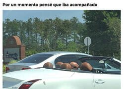 Enlace a Confusión terrible