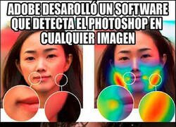 Enlace a ¿Ahora a quién van a engañar?