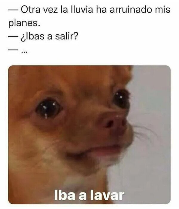 Meme_otros - Salir dice jajaja