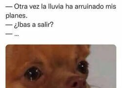 Enlace a Salir dice jajaja