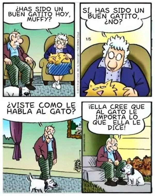 Meme_otros - Las mascotas están para escuchar