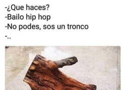 Enlace a ¿Un tronco bailando hip hop?