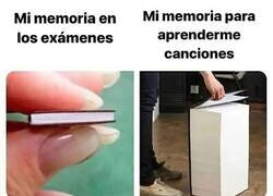 Enlace a ¿Por qué la mente funciona así?