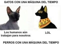 Enlace a Si las mascotas pudieran viajar en el tiempo
