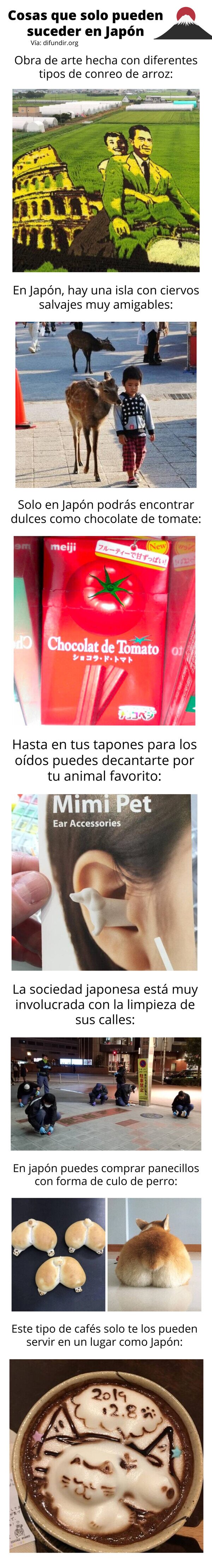 Meme_otros - Cosas que solo pueden suceder en Japón