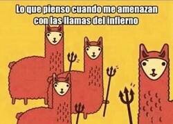 Enlace a Pero si son adorables