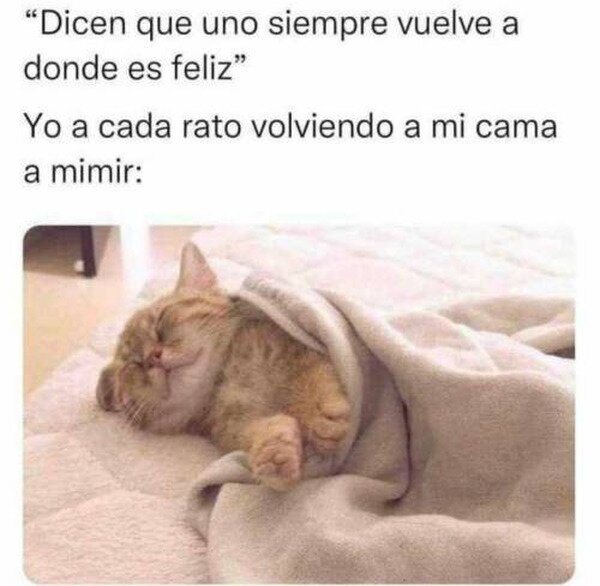Meme_otros - Dónde se encuentra la felicidad