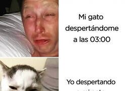 Enlace a Ojo por ojo