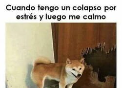 Enlace a Brote psicótico