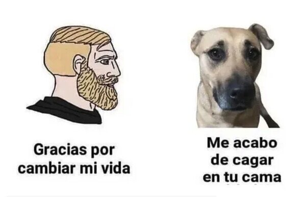Otros - No tiene explicación, pero es lo mejor que me ha pasado