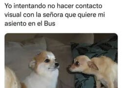 Enlace a Mira hacia al frente, mira hacia al frente...