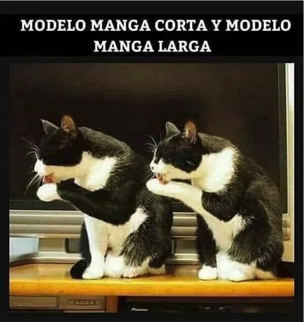 Meme_otros - Comprando ropa por Internet