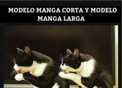 Enlace a Comprando ropa por Internet