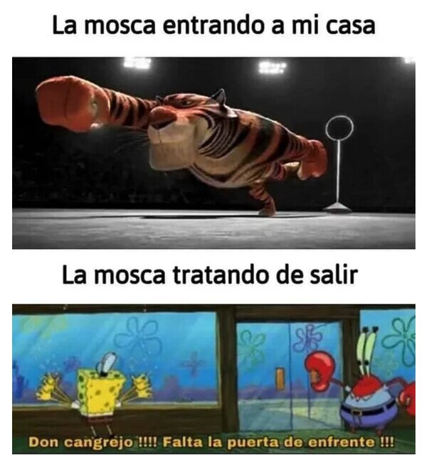 Meme_otros - ¿Si ha entrado, por qué le cuesta tanto salir?