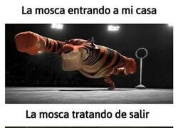 Enlace a ¿Si ha entrado, por qué le cuesta tanto salir?