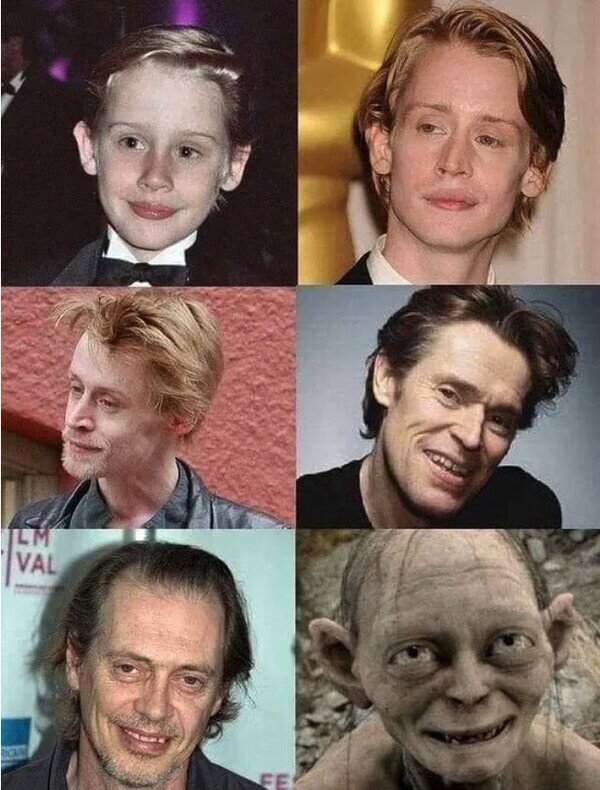 Meme_otros - La evolución natural