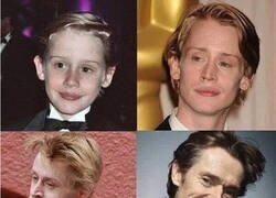 Enlace a La evolución natural