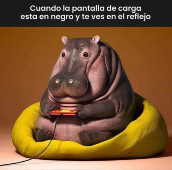 Meme_otros - Aparece algo así