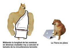 Enlace a Tantos años de evolución para esto