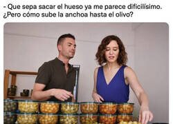 Enlace a Ayuso descubre la aceituna