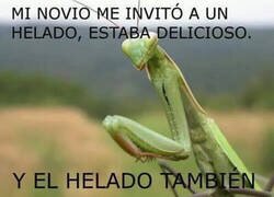 Enlace a Ya sabes lo que dicen de las mantis