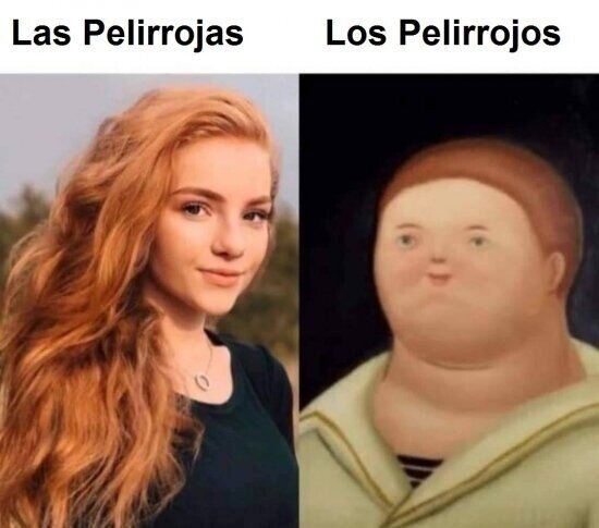 Meme_otros - Es por ley