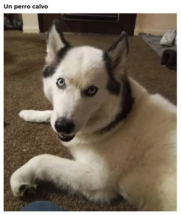 Meme_otros - Puedes seguir bajando