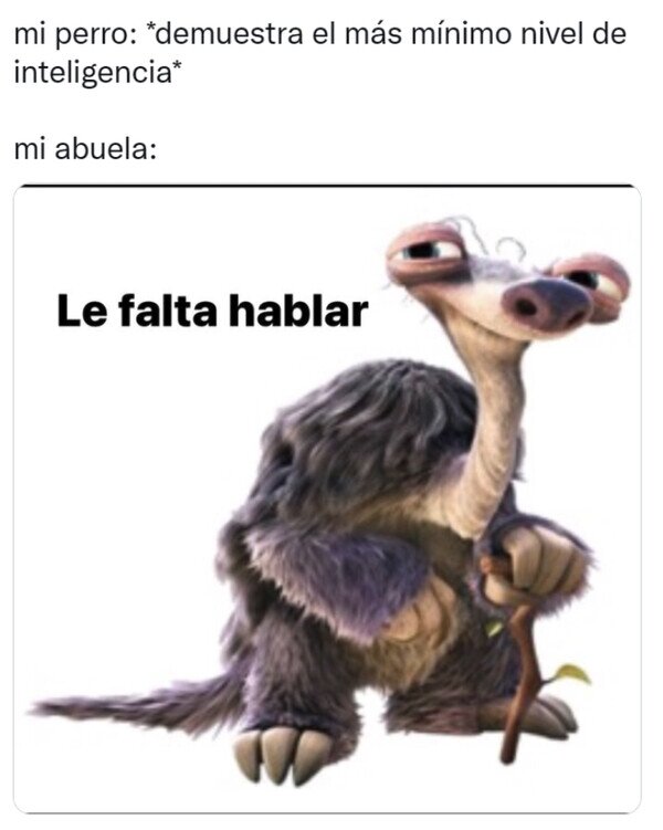 Meme_otros - Qué razón tiene mi yaya
