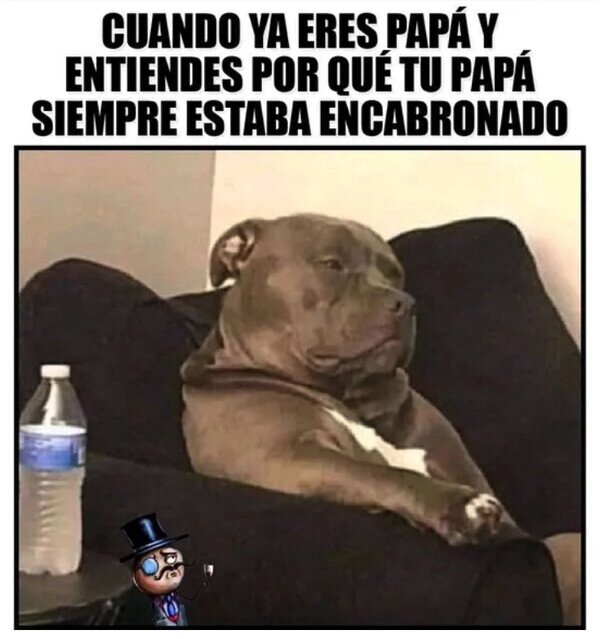 Meme_otros - Comprendiendo la vida de padre