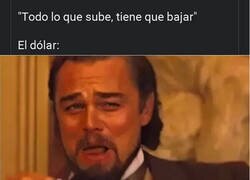 Enlace a La inflación no entiende de refranes