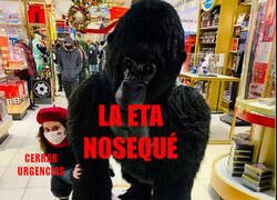 Enlace a Las políticas de Ayuso