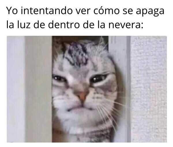 Otros - Todos los hemos hecho alguna vez