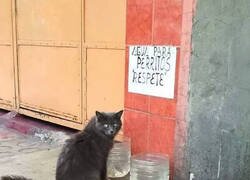 Enlace a Nada que respetar