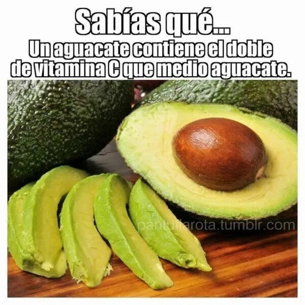 Meme_otros - Dato curioso sobre el aguacate