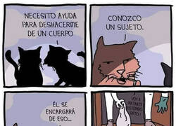 Enlace a Los humanos solo somos sus cómplices