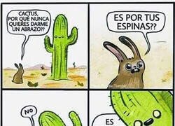 Enlace a La sinceridad de los cactus