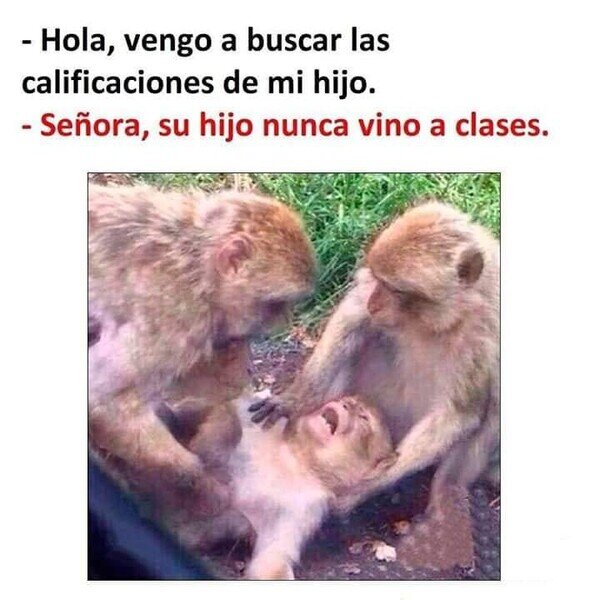 Otros - Qué disgusto se llevó
