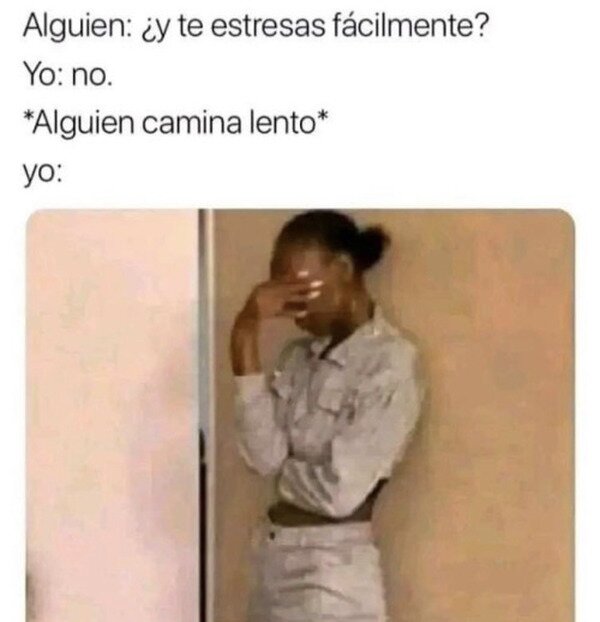 Meme_otros - No puedo con los que van deambulando por la calle
