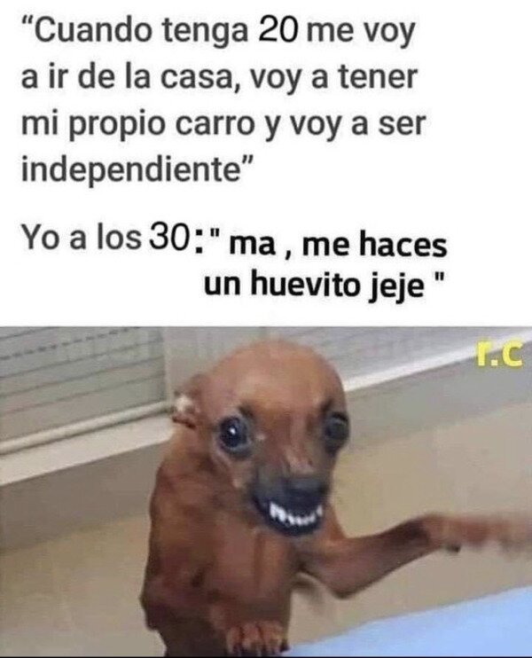 Meme_otros - Muy dependiente