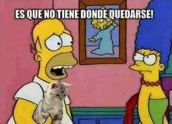 Enlace a Yo a mi madre cada dos por tres