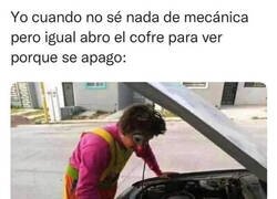 Enlace a Quedo como un payaso